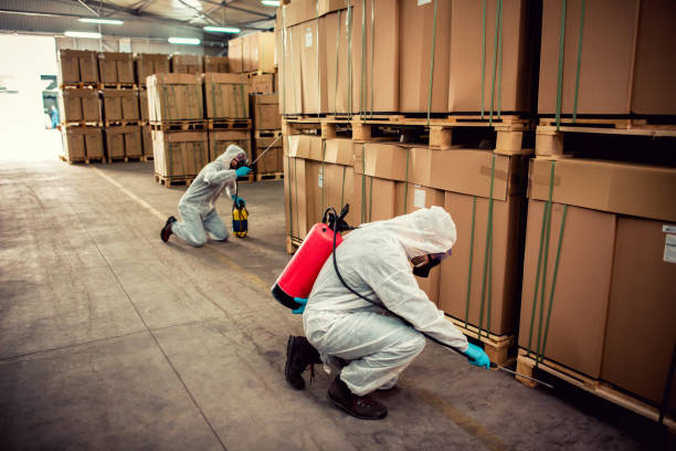 Best Cockroach Control Services  in Dimondale, MI