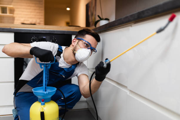 Best Emergency Pest Control  in Dimondale, MI