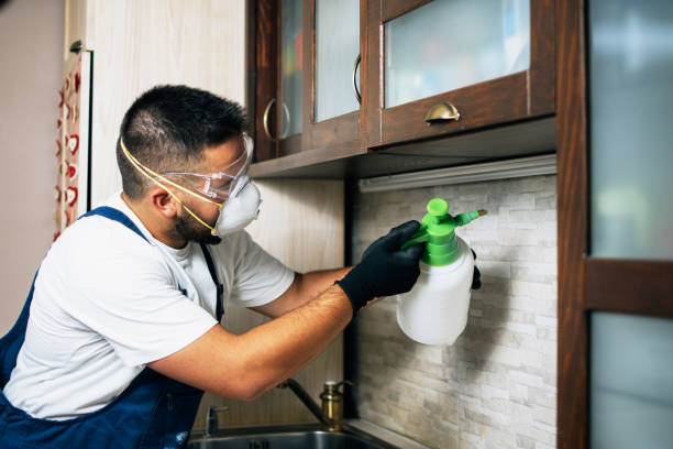 Reliable Dimondale, MI Pest Control Solutions