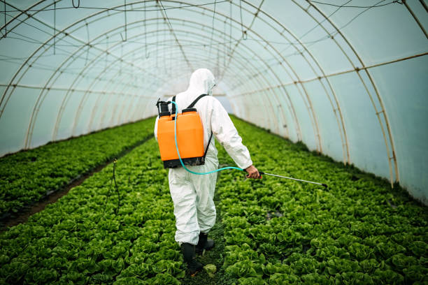 Best Pest Control Near Me  in Dimondale, MI