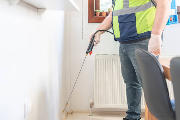 Best Flea Control Services  in Dimondale, MI