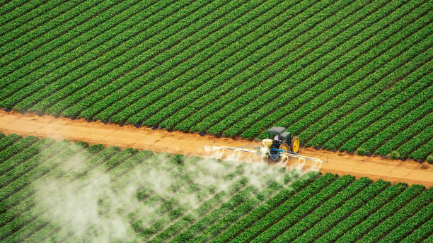 Best Pest Prevention Services  in Dimondale, MI