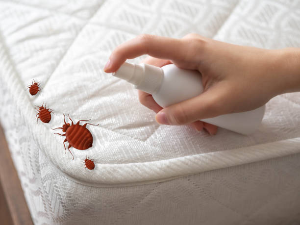 Pest Control for Restaurants in Dimondale, MI