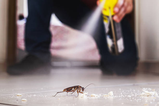 Best Exterminator Services  in Dimondale, MI