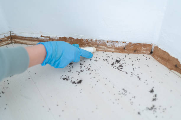 Best Wildlife Control Services  in Dimondale, MI