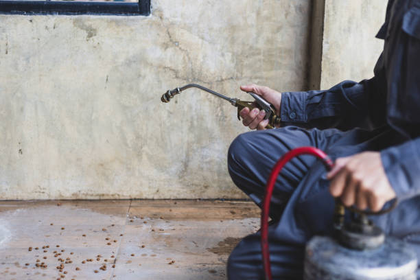 Best Best Pest Control Companies  in Dimondale, MI